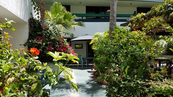 LARGE OPEN OFFICE, SEVERAL USES. FLAT RATE, EASY LEASE